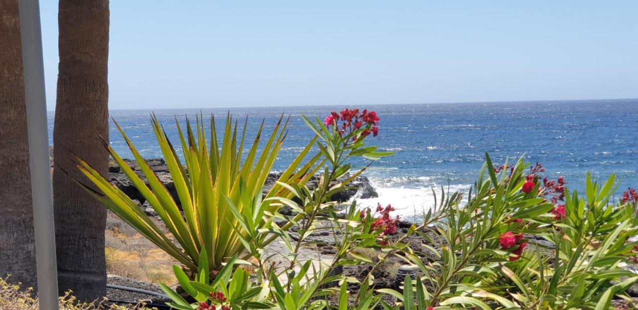 Cosy Well Located Apartment Tenerife Sur Golf San Miguel de Abona Exteriér fotografie