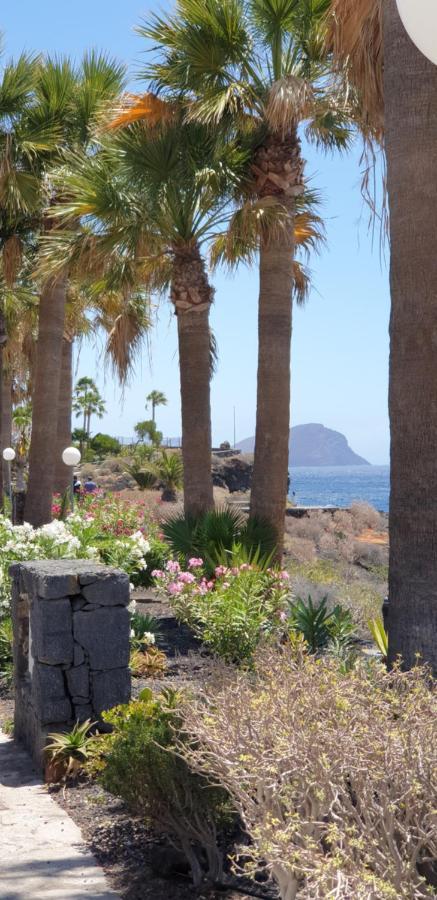 Cosy Well Located Apartment Tenerife Sur Golf San Miguel de Abona Exteriér fotografie