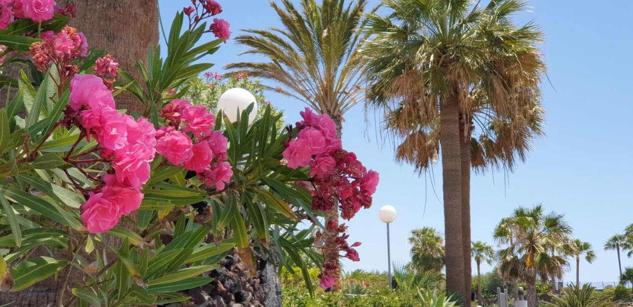 Cosy Well Located Apartment Tenerife Sur Golf San Miguel de Abona Exteriér fotografie